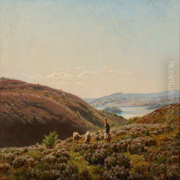 Landscape From Thesilkeborg Lake District, Denmark - view 1