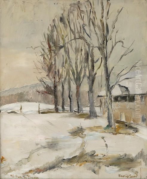 Old Osterdals Cottage - view 1