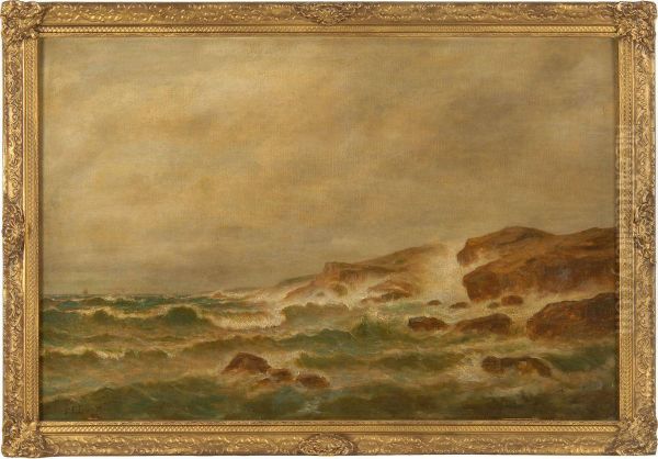 Stormy Seas Off A Rocky Coast - view 1