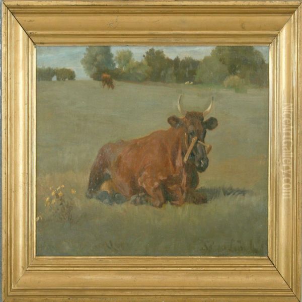 Field With A Resting Cow - view 1