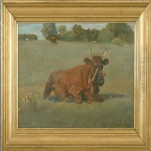 Field With A Resting Cow