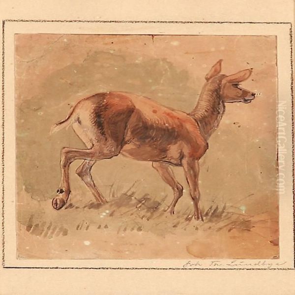 Doe - view 1