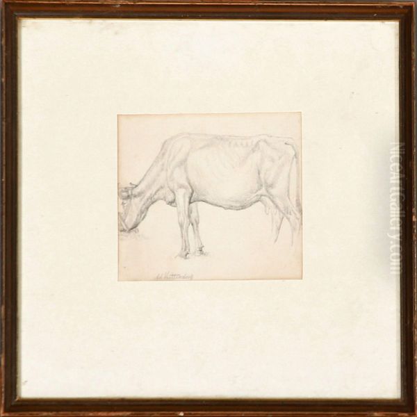 A Sitting Boy And A Cow - view 1