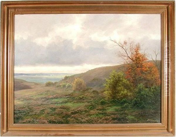 Landscape - view 1