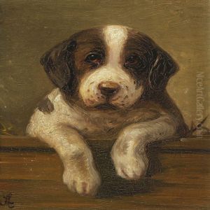 Puppy by Agnes Lunn