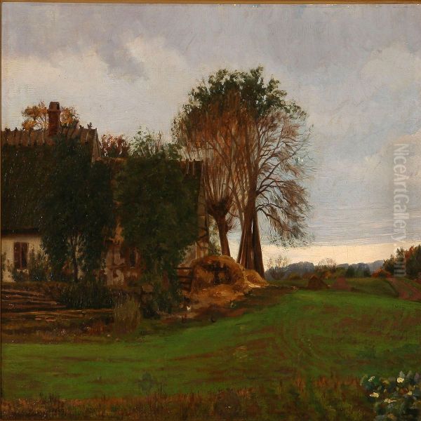 Quiet Summer At A White Farm - view 1