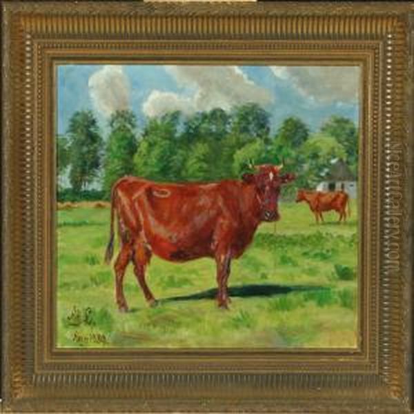 Cow In The Field - view 1