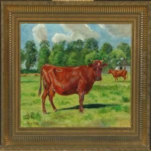 Cow In The Field by Agnes Lunn