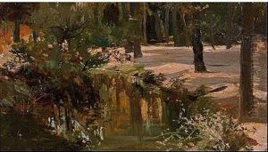 Paisaje Paisaje