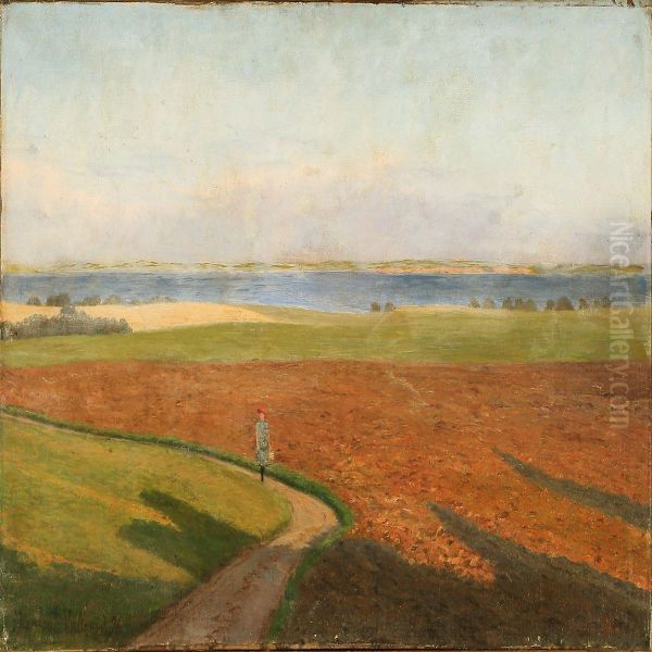 Landscape From Vallerod, Denmark - view 1