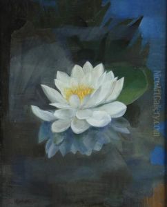 Seerose