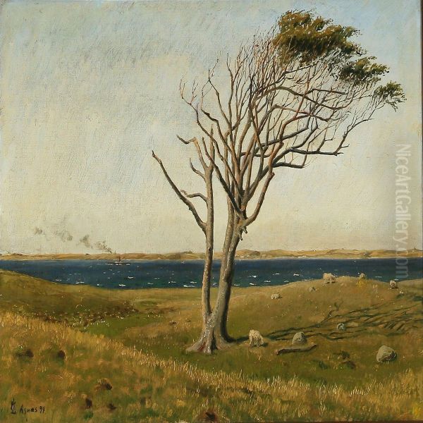 View From Asn s, Denmark - view 1