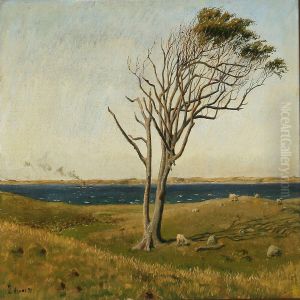 View From Asn s, Denmark