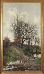 Paysage D'automne