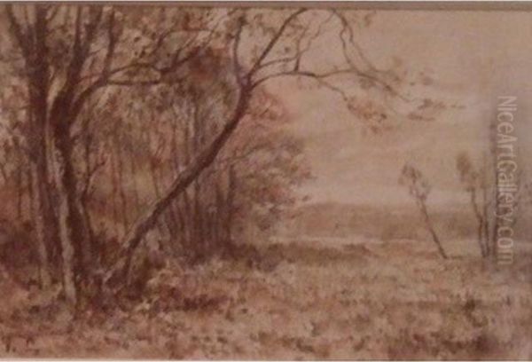 L'arbre Penche - view 1
