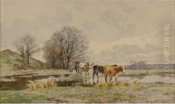 Le Gue En Anjou - view 1