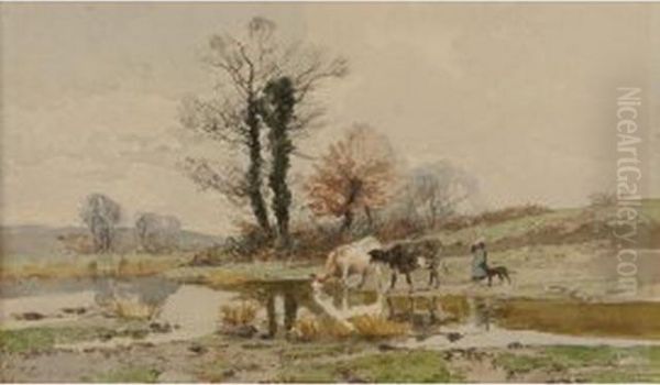 Vaches S'abreuvant - view 1