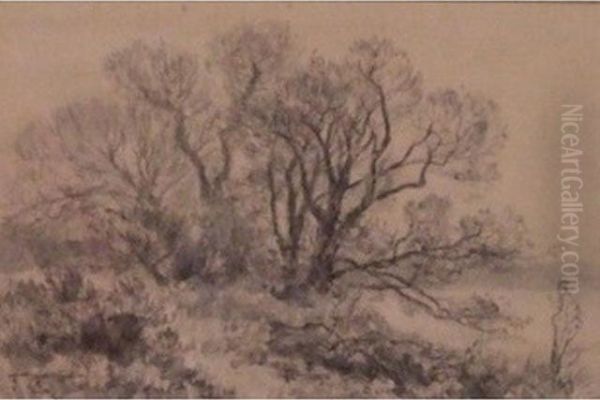 Les Trois Arbres - view 1