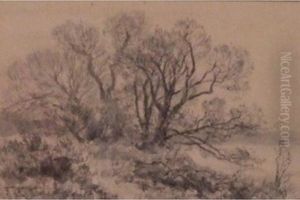 Les Trois Arbres by Fernand Lutscher
