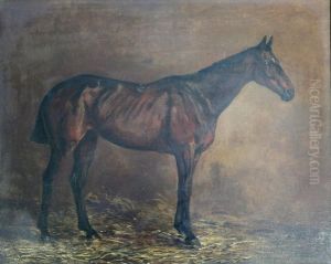 Lorna, A Bay Racehorse