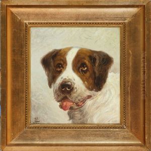 A Dog