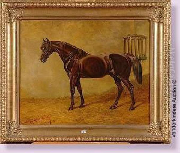 Portrait D'un Cheval - view 1