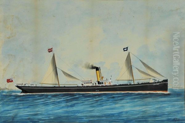 Ritratto Delpiroscafo Lady Gray In Navigazione In Mare Calmo - view 1