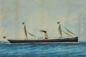 Ritratto Delpiroscafo Lady Gray In Navigazione In Mare Calmo by Antonio Luzzo