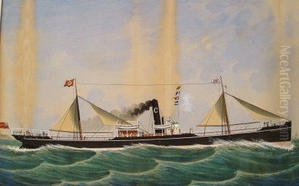 The Steam Ship 'pendeen' - view 1