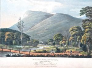 Mount Wellington Near Hobart Town, 
Van Dieman's Land