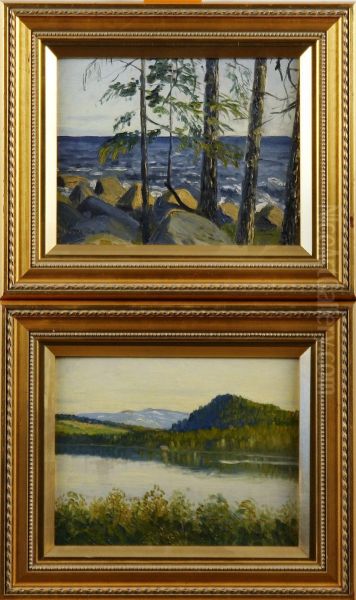 Furuvik - view 1