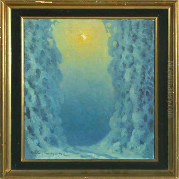 Winterscenery With The Sun - view 1