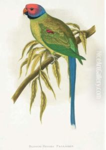 Parrots In Captivity: Six Plates