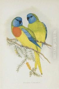 Parrots In Captivity: Eight Plates by Alexander Francis Lydon
