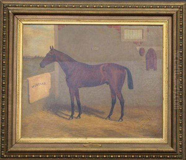 The Racehorse 'morello' In A Stable - view 1