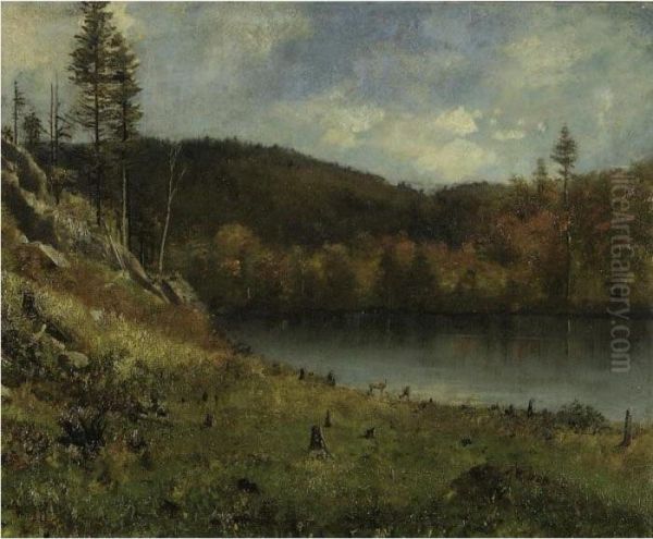 Lakeside Landscape - view 1