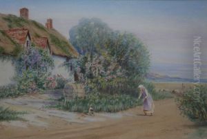Girl With A Puppy, Anglesey