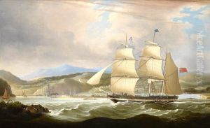 The Barque
