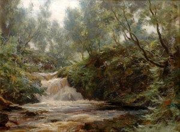 River Landscape - view 1
