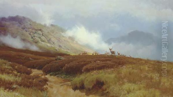 A Stag With Hinds In The Highlands - view 1