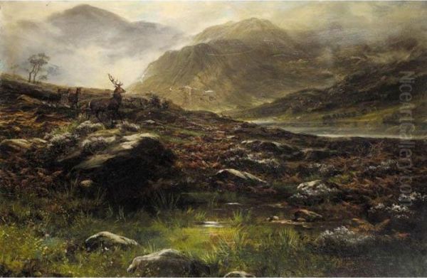 Deer In The Highlands - view 1