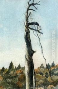 Dying Kauri & View Of Mt Egmont Verso by Sophia Augusta Lysaght Nee Moore