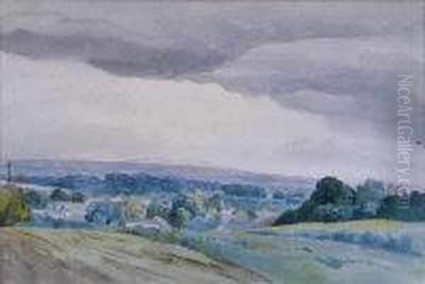 Extensive Landscape - view 1