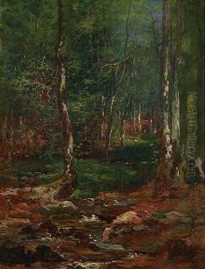 Sonnendurchfluteter Wald Mit Bachlauf by Lorenz Maas