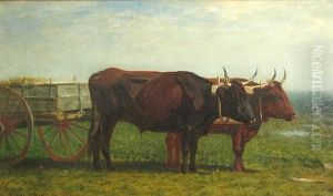 Oxen