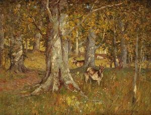 In The Woods by William Macbride