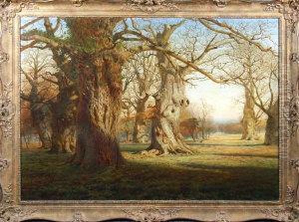 A Sunlit Forest Clearing With Ancient Trees In The Foreground And Deer Grazing In The Middle-distance - view 1