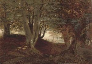 The Shady Side, Near The Hendry, Monmouthshire by Andrew MacCallum
