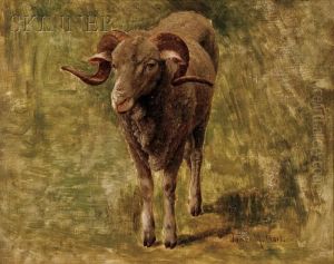 Rocky Mountain Goat by James McDougal Hart