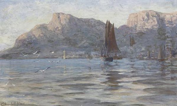 Table Bay - view 1